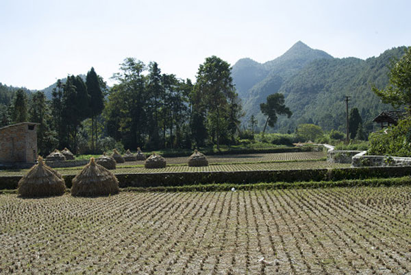 医药1-1.jpg